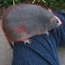 Perfil rpgista350