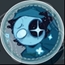 Perfil Mimialuxx