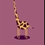 Perfil GirafitaEt