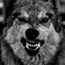 Perfil WolfsMe_