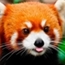 Perfil Firefox364