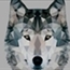Perfil The_Wolf_Lover