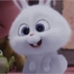 Usuário: Duda-Bunny