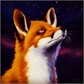 Usuário: Gabriel-fox