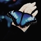 Usuário: Bela_butterfly