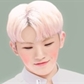 Usuário: WooziKawaii