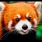 Usuário: Firefox364