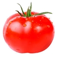 Usuário: tomatinhoBR