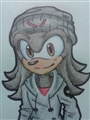 Usuário: Vthehedgehog