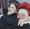 Usuário: weloveexo