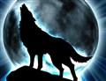 Usuário: Wolf_Spirit