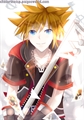 Usuário: Sora_Wielder